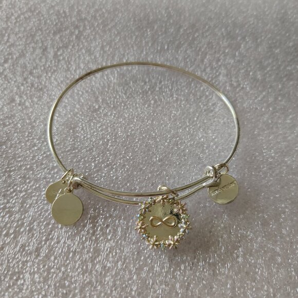 HTF Alex and Ani You are Loved Infinity Symbol Bangle  406 - Picture 1 of 5